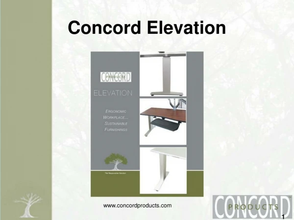 Concord Elevation