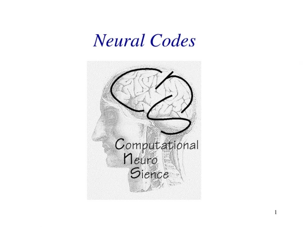 Neural Codes