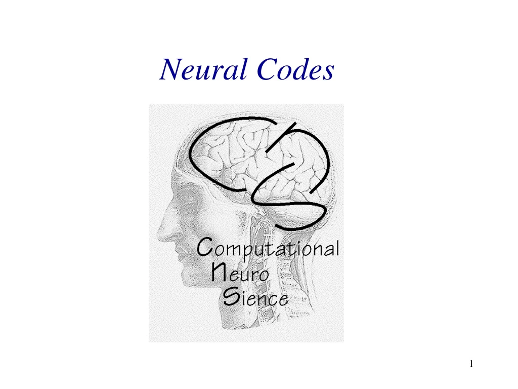 neural codes