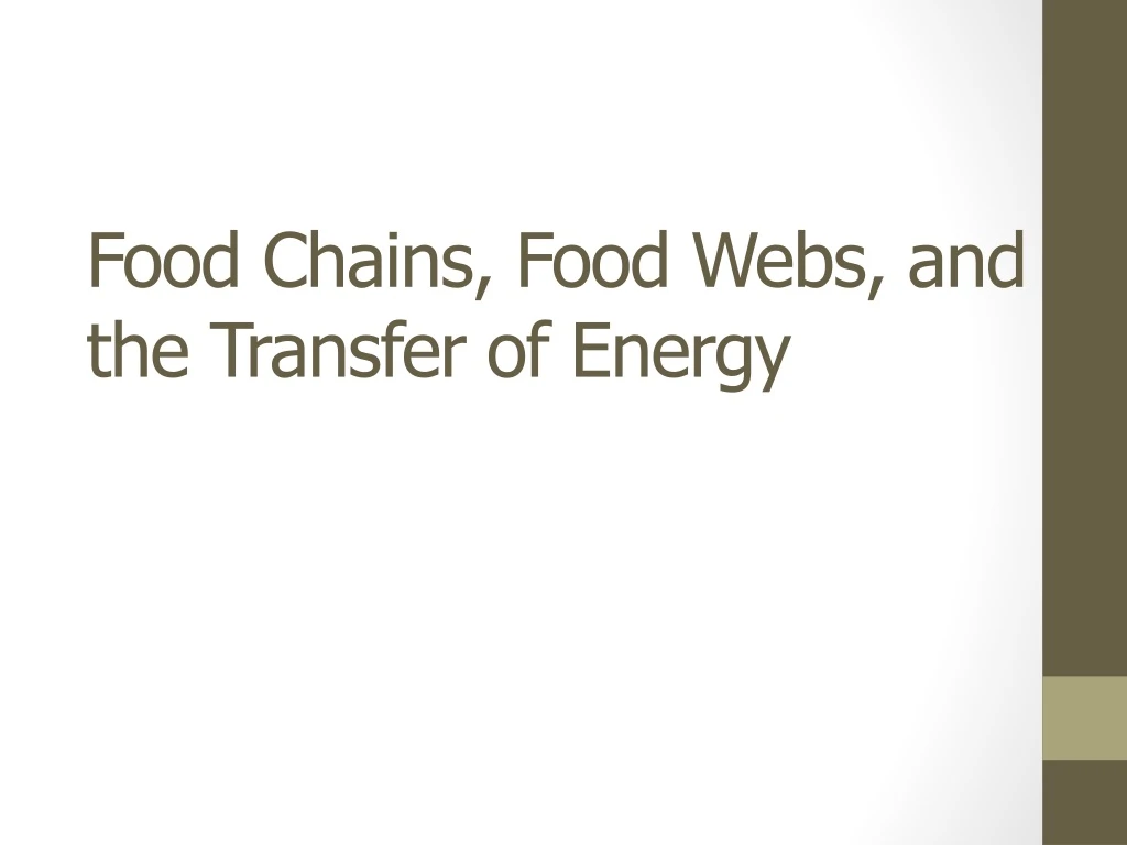 food chains food webs and the transfer of energy