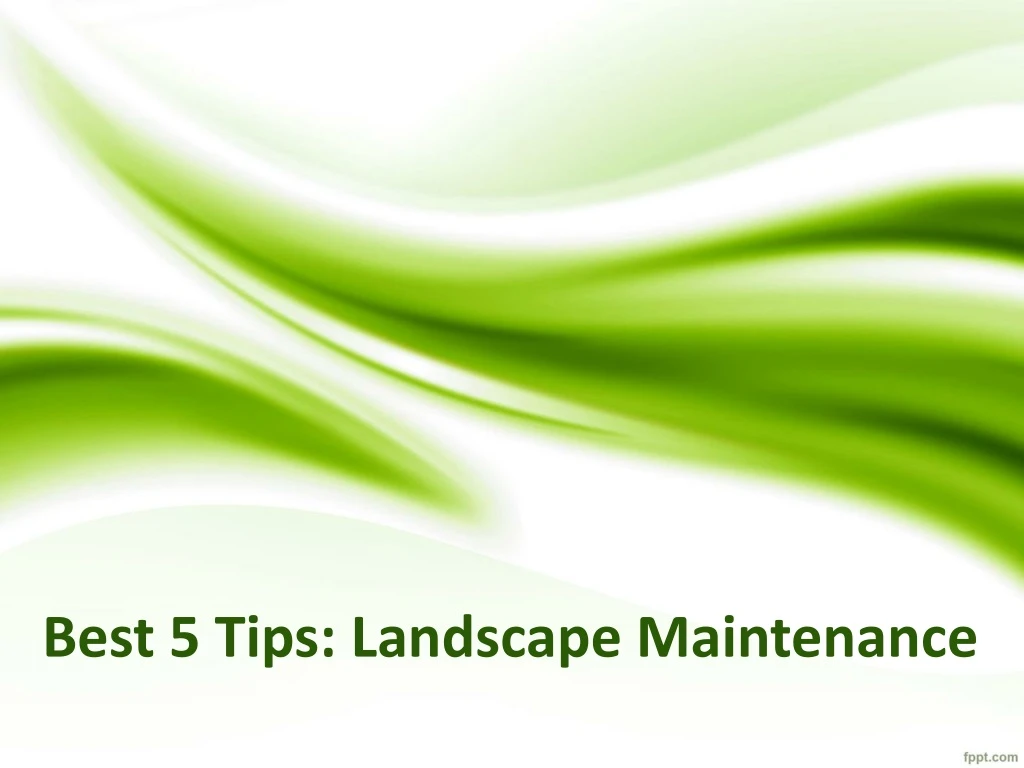 best 5 tips landscape maintenance