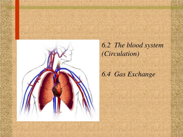 6.2 The blood system (Circulation) 6.4 Gas Exchange