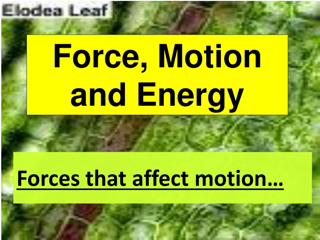 forces that affect motion