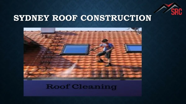 Roof Cleaning Service in Blacktown - Sydneyroofconstruction.com.au