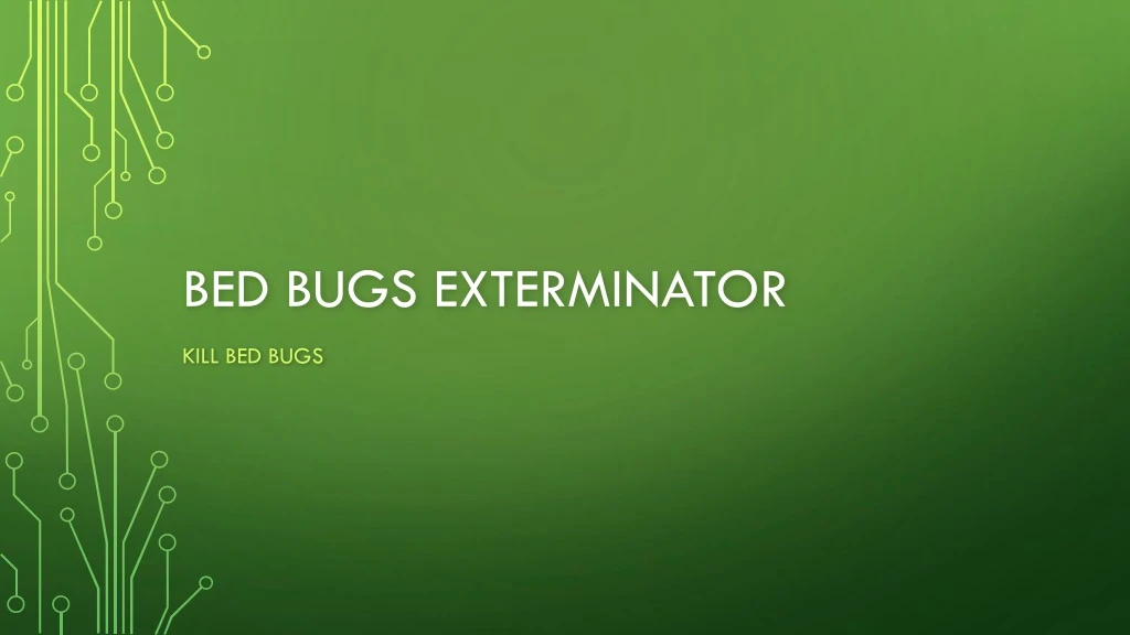bed bugs exterminator