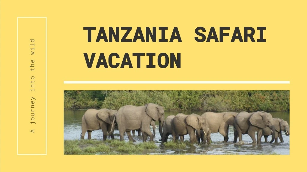 tanzania safari vacation