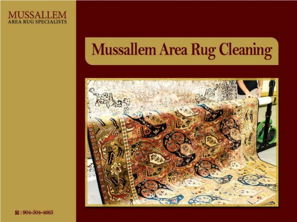 Best Area Rug Cleaning Services in Jacksonville