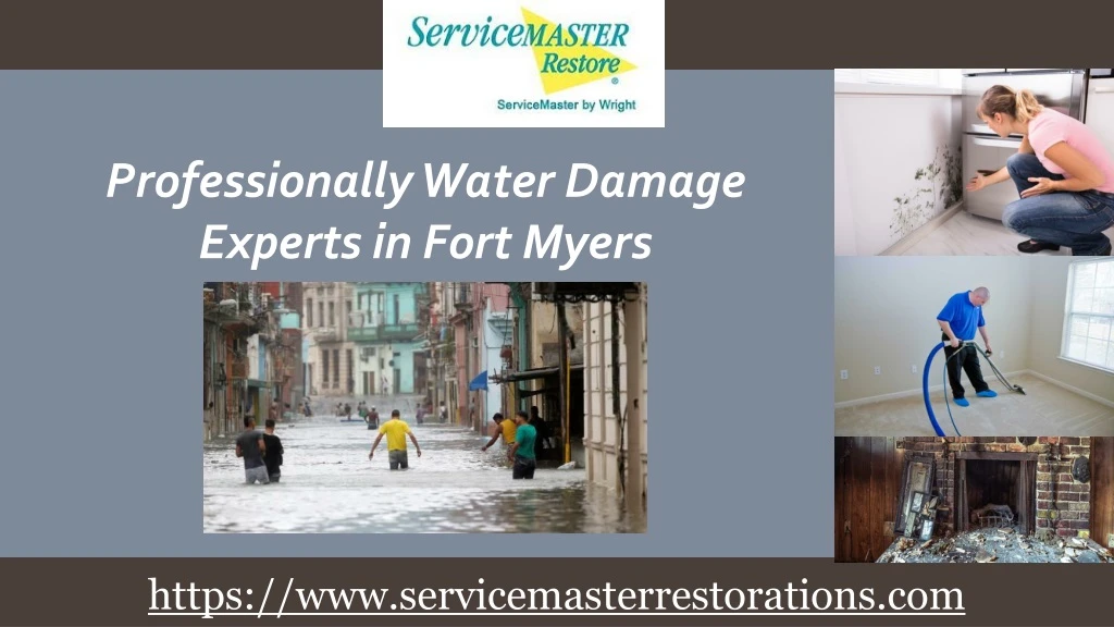 professionally water damage experts in fort myers