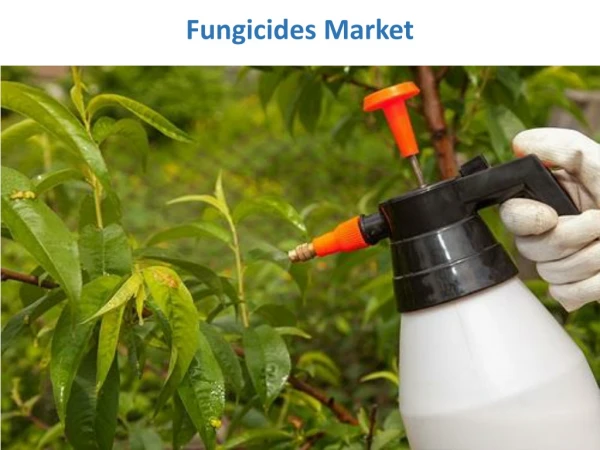 Fungicides Market expected to Grow faster with key winning strategies