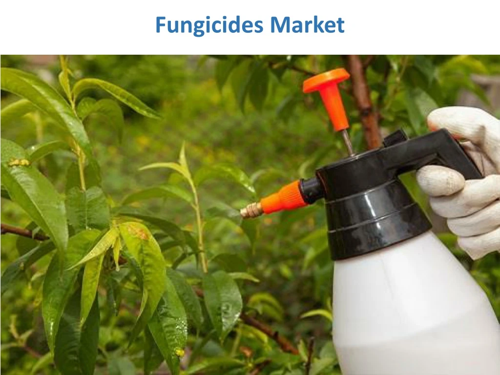 fungicides market