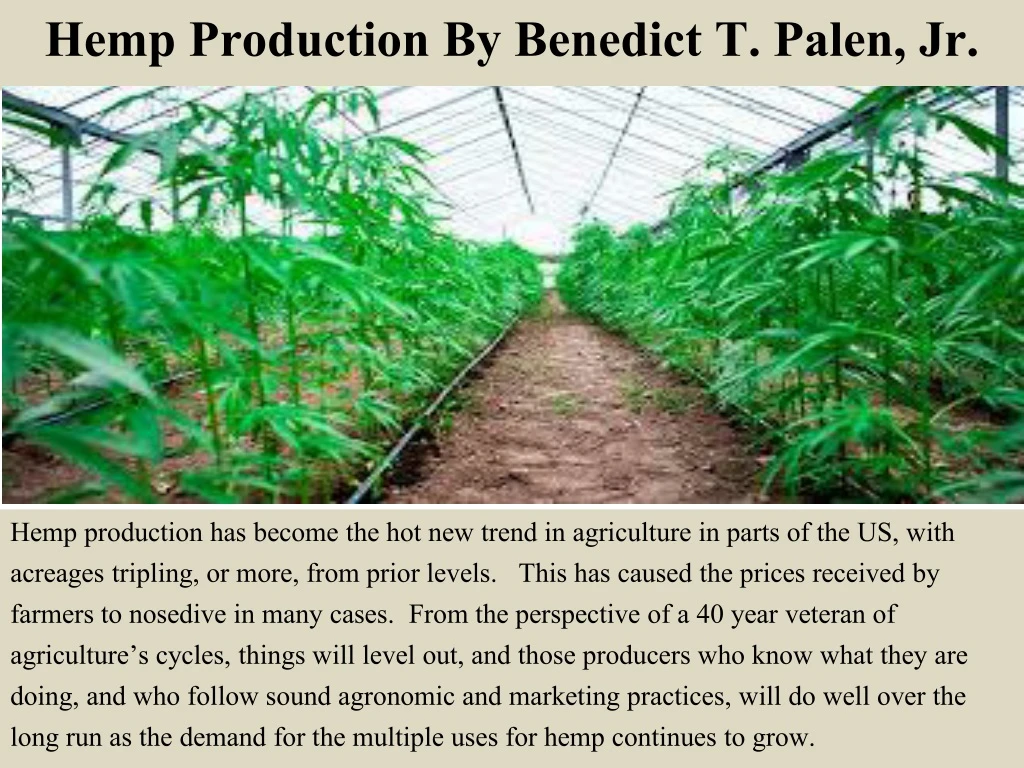 hemp production by benedict t palen jr