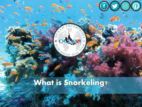 Basic safety tips and equipment needed in Snorkeling