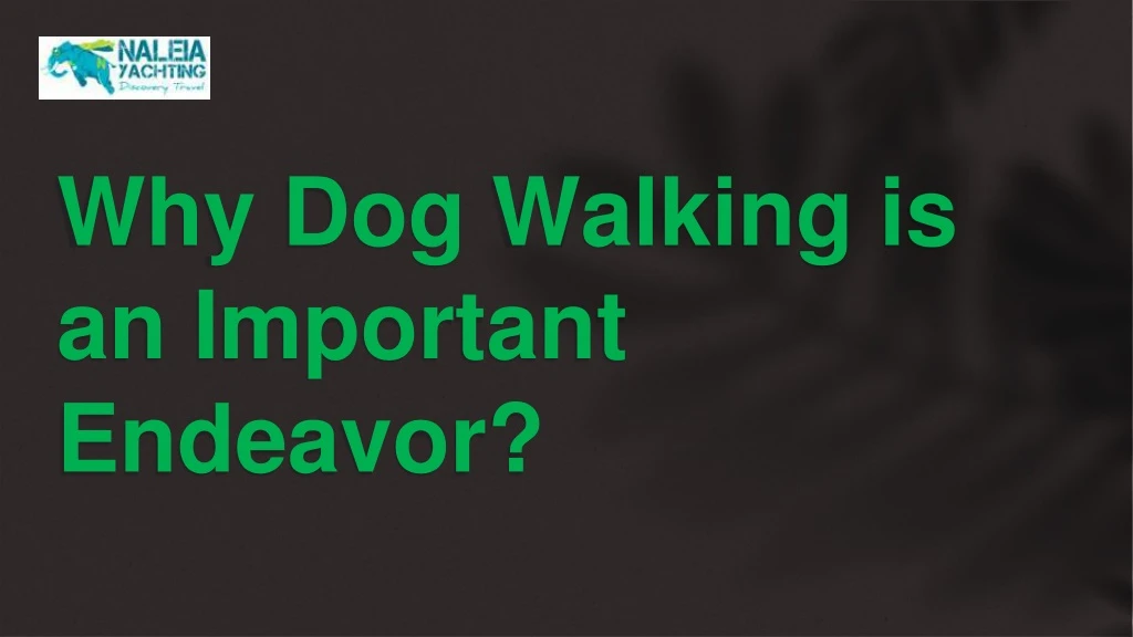 why dog walking is an important endeavor