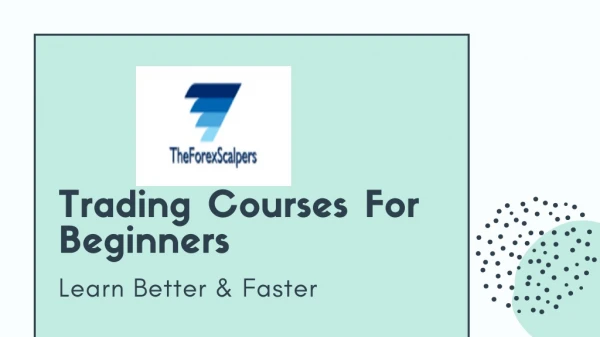Get the Best Forex Trading Course for Beginners - The Forex Scalpers