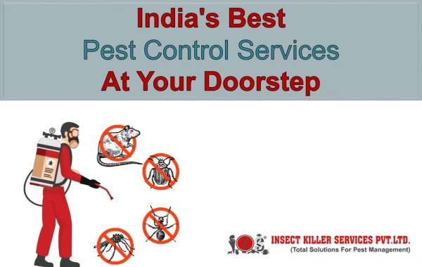How to Get Rid Of Pests/Insects, Home Remedies | IKS Jaipur