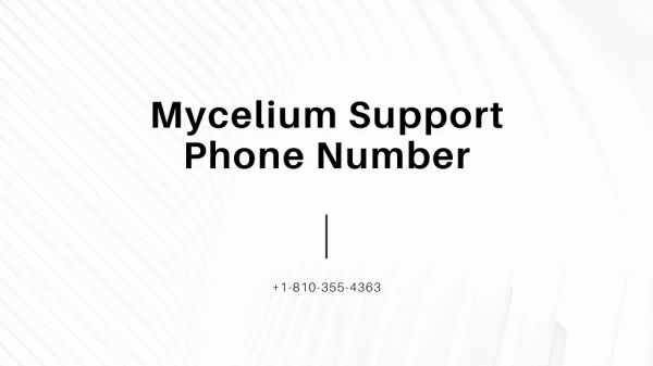 Mycelium Support 1【(810)-355-4363】Phone Number
