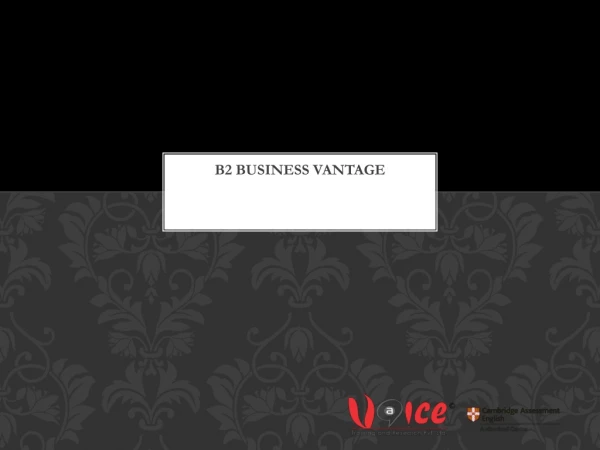 B2 Business Vantage