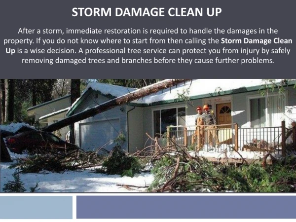 Storm Damage Clean UP Services in Atlanta