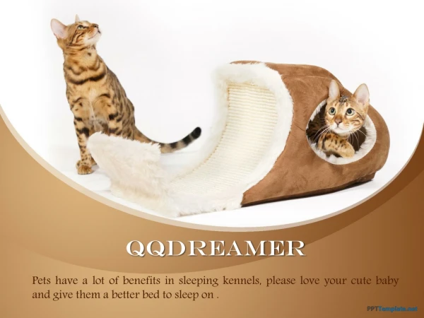 Best Price for Pet Bed