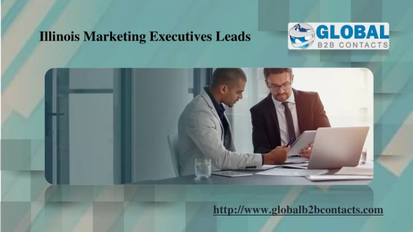 Illinois Marketing Executives Leads