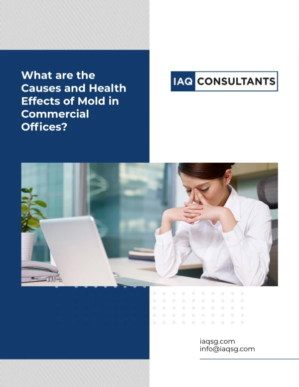 What are the Causes and Health Effects of Mold in Commercial Offices?
