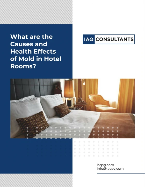What are the Causes and Health Effects of Mold in Hotel Rooms?