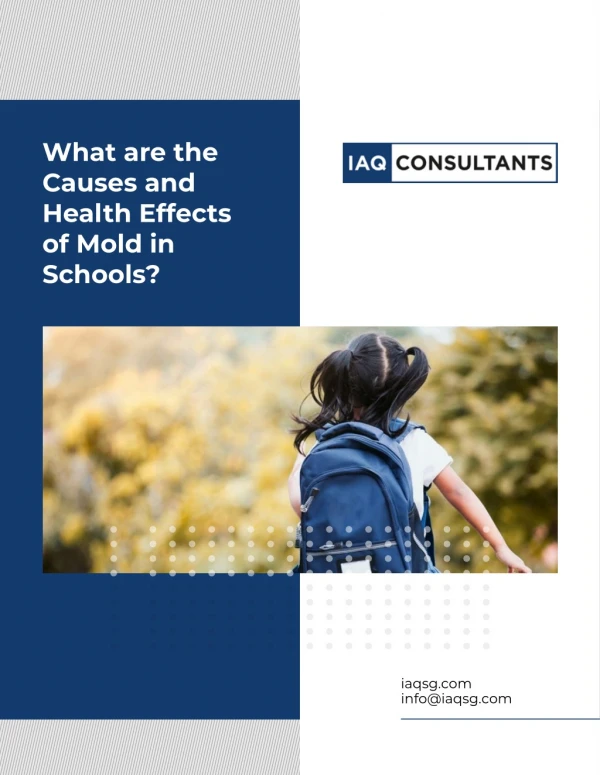 What are the Causes and Health Effects of Mold in Schools?