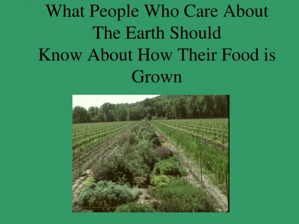 What People Who Care About The Earth Should Know About How Their Food is Grown