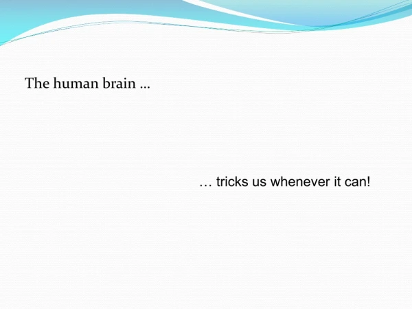 The human brain …