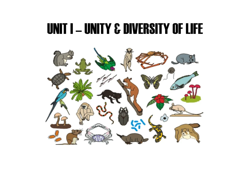 unit i unity diversity of life