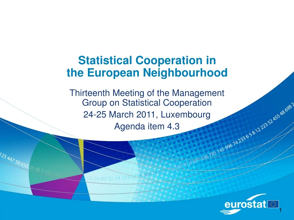 statistical cooperation in the european neighbourhood