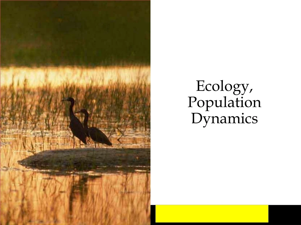 ecology population dynamics