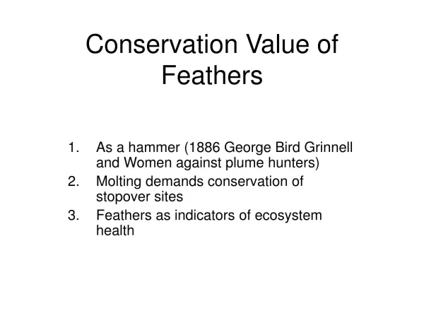 Conservation Value of Feathers