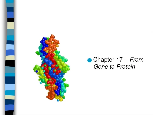Chapter 17 – From Gene to Protein