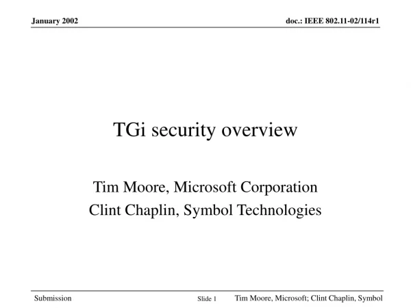 TGi security overview