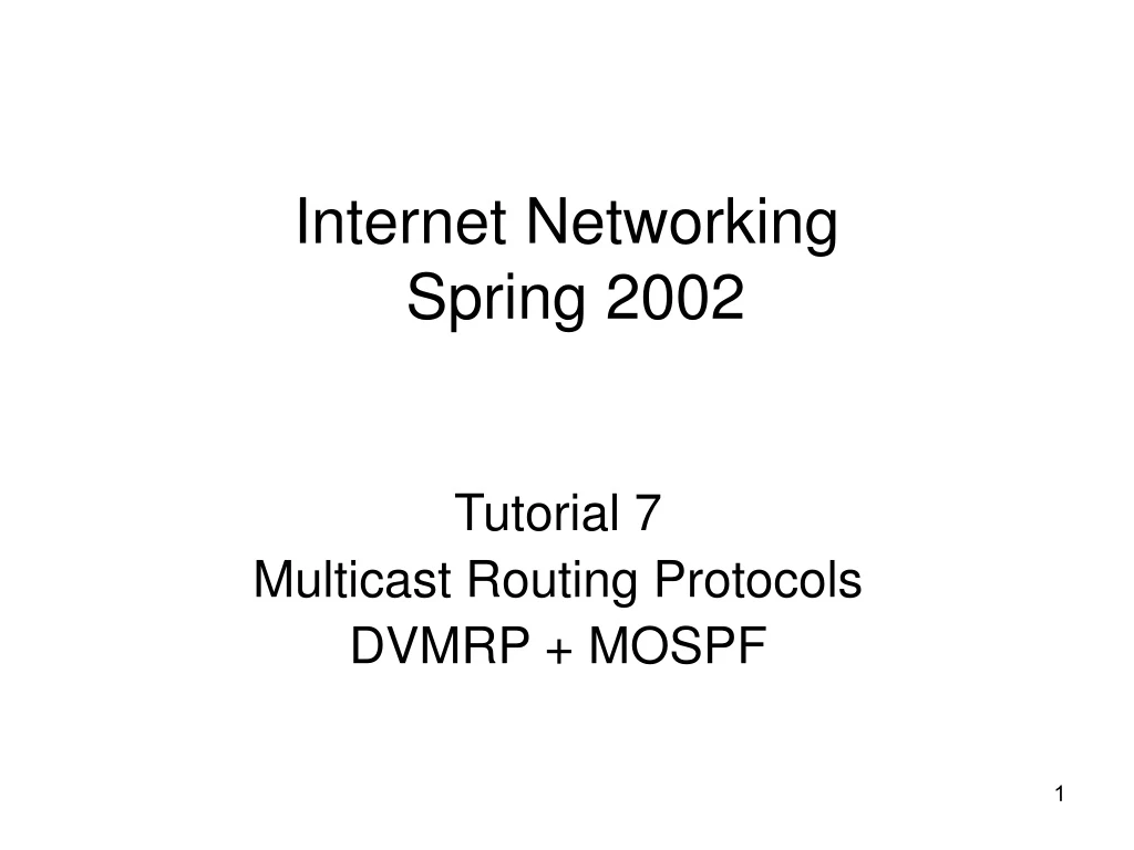 internet networking spring 2002