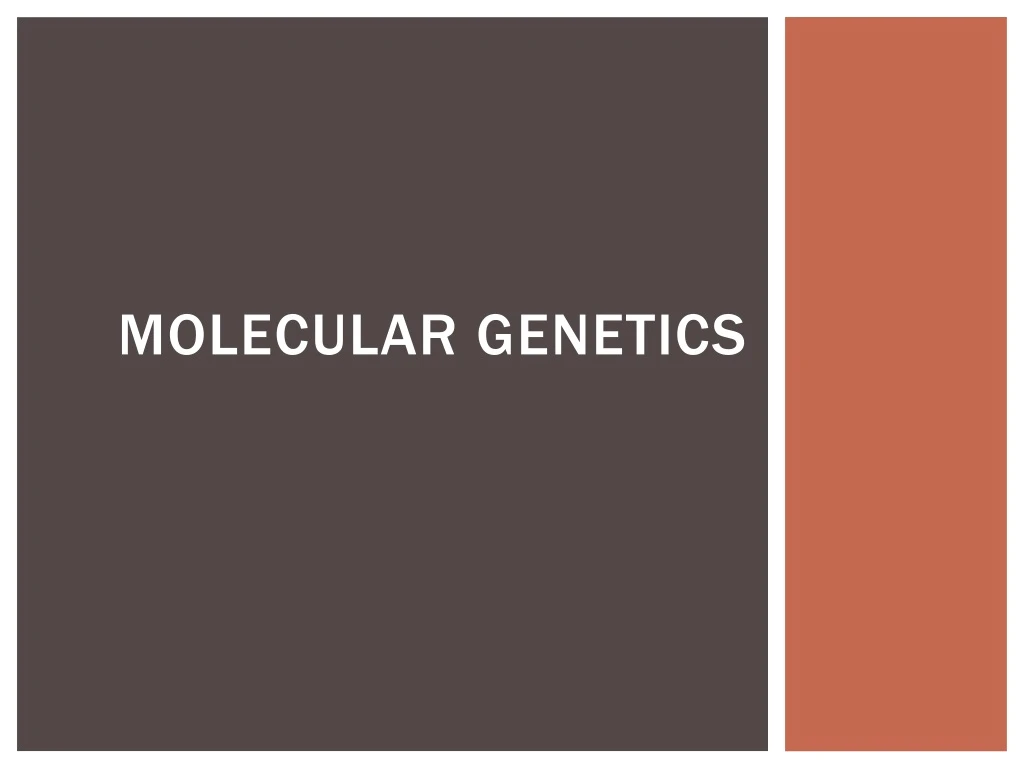 molecular genetics