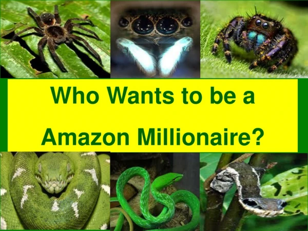Who Wants to be a Amazon Millionaire?