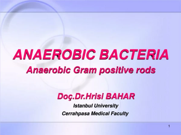 ANAEROBIC BACTERIA Anaerobic Gram positive rods