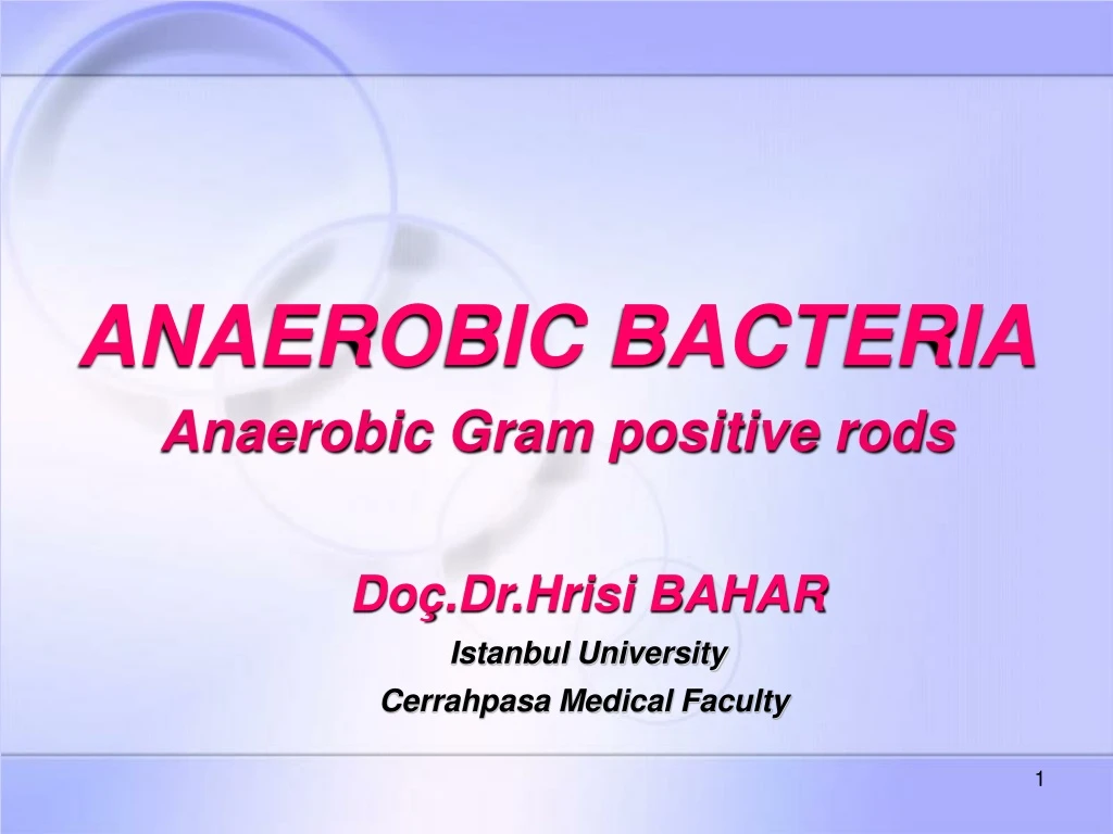 anaerobic bacteria anaerobic gram positive rods