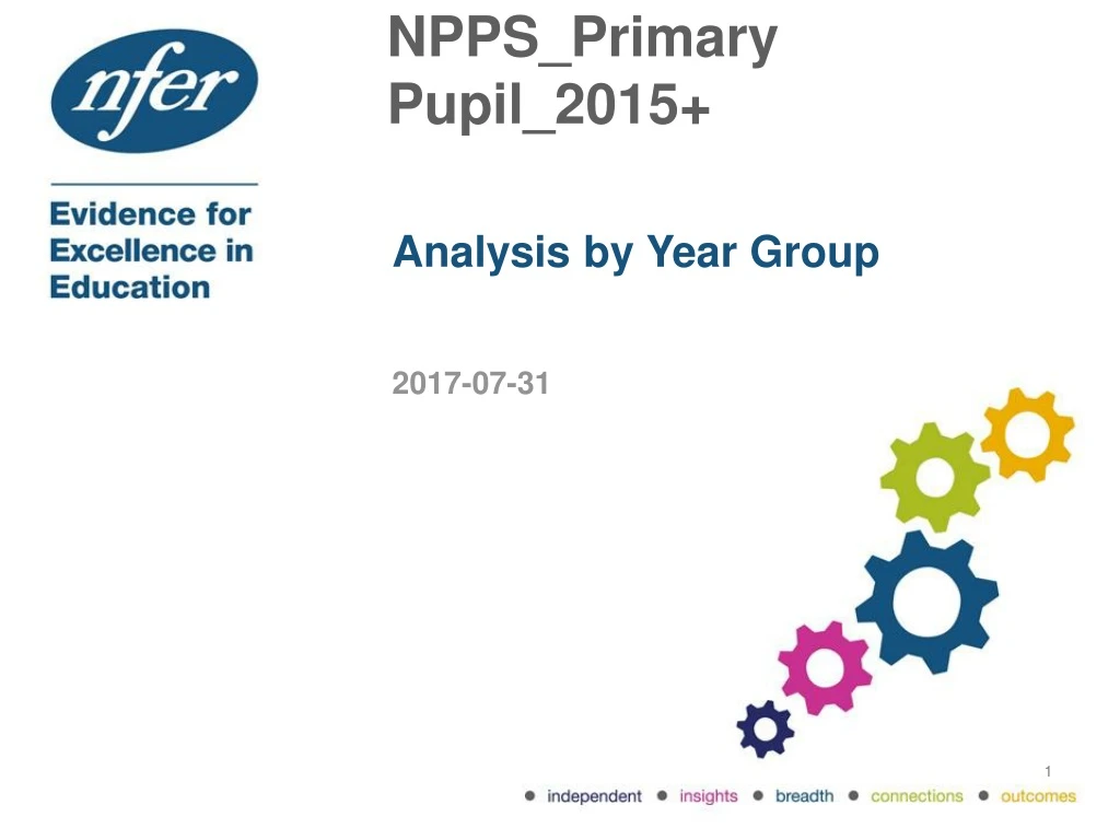 npps primary pupil 2015