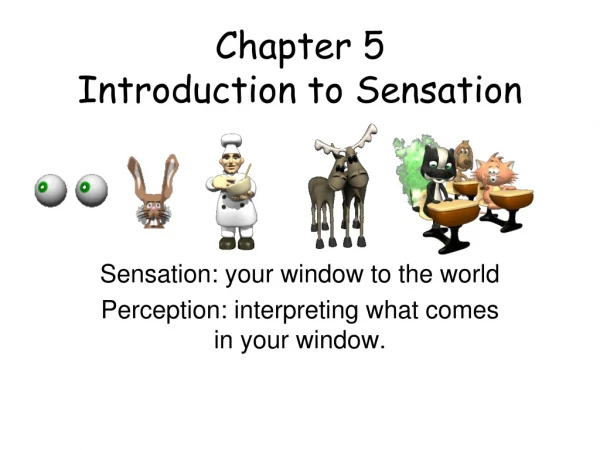Chapter 5 Introduction to Sensation