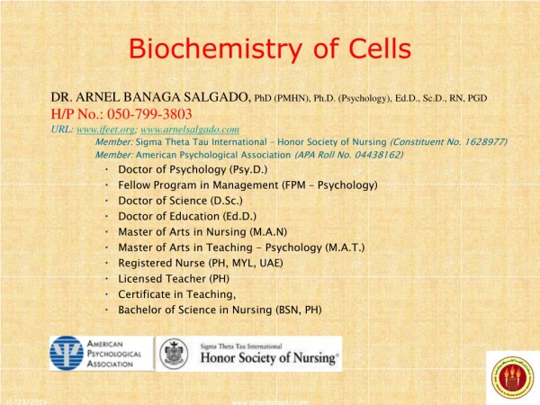 DR. ARNEL BANAGA SALGADO, PhD (PMHN), Ph.D. (Psychology), Ed.D ., Sc.D., RN, PGD