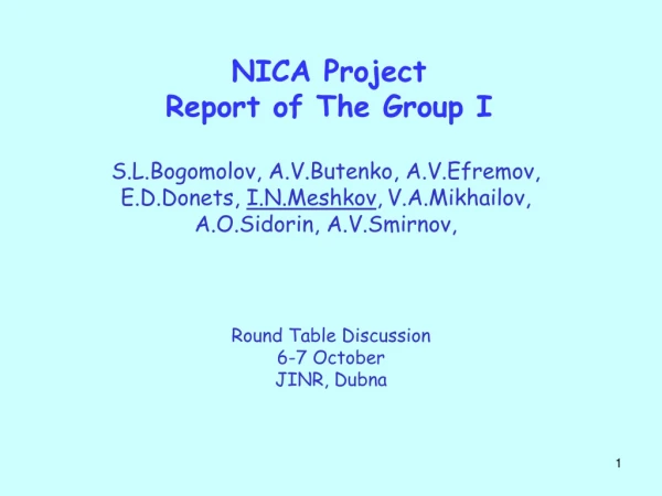 NICA Project Report of The Group I