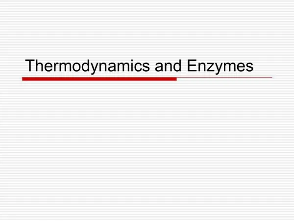 Thermodynamics and Enzymes