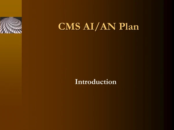 CMS AI/AN Plan