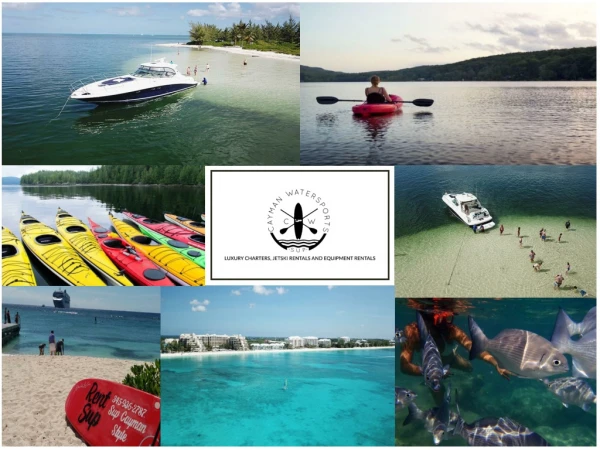 Explore the Caribbean Sea Up, Close & Personal. Rent a Paddle Board