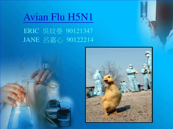 Avian Flu H5N1