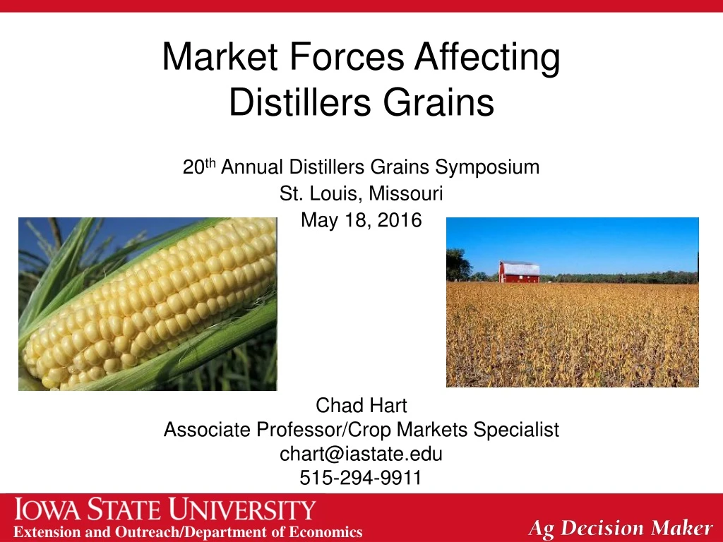 market forces affecting distillers grains