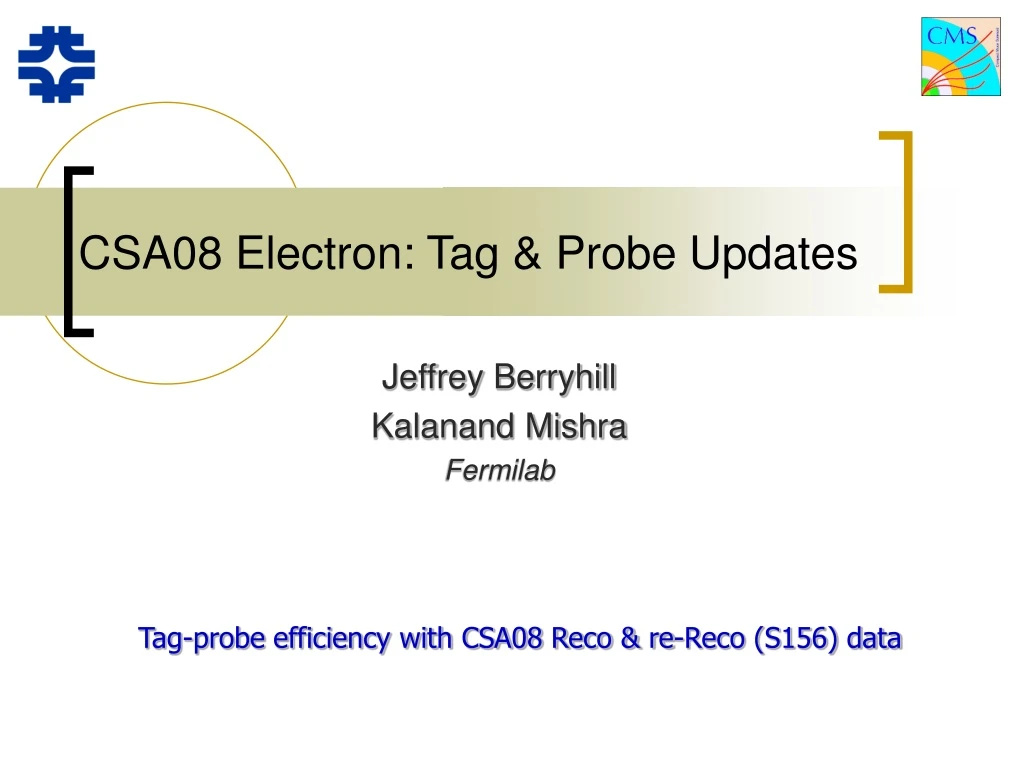 csa08 electron tag probe updates